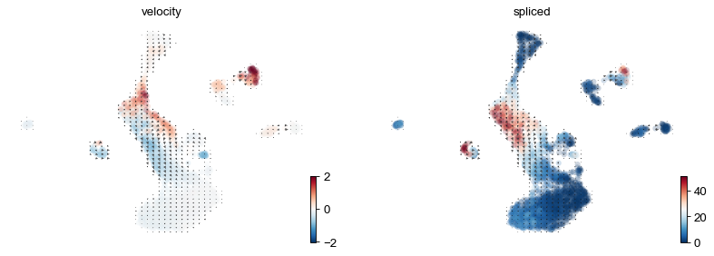../../_images/vignettes_DentateGyrus_18_0.png