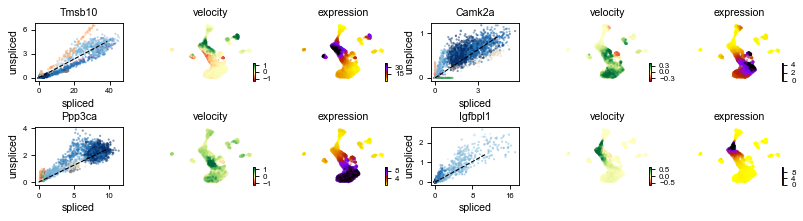 ../../_images/vignettes_DentateGyrus_20_0.png