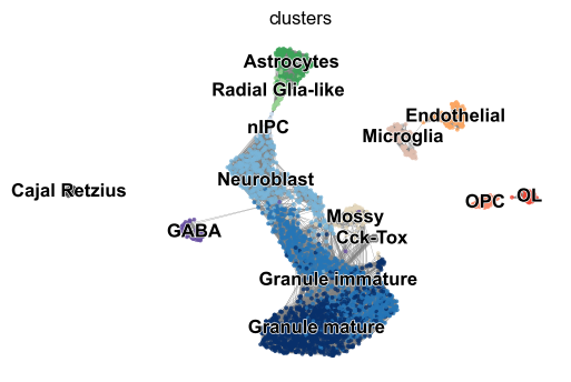 ../../_images/vignettes_DentateGyrus_21_0.png
