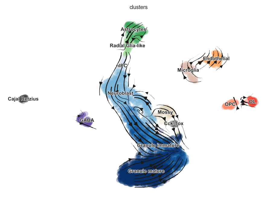 ../../_images/vignettes_Fig2_dentategyrus_33_1.png