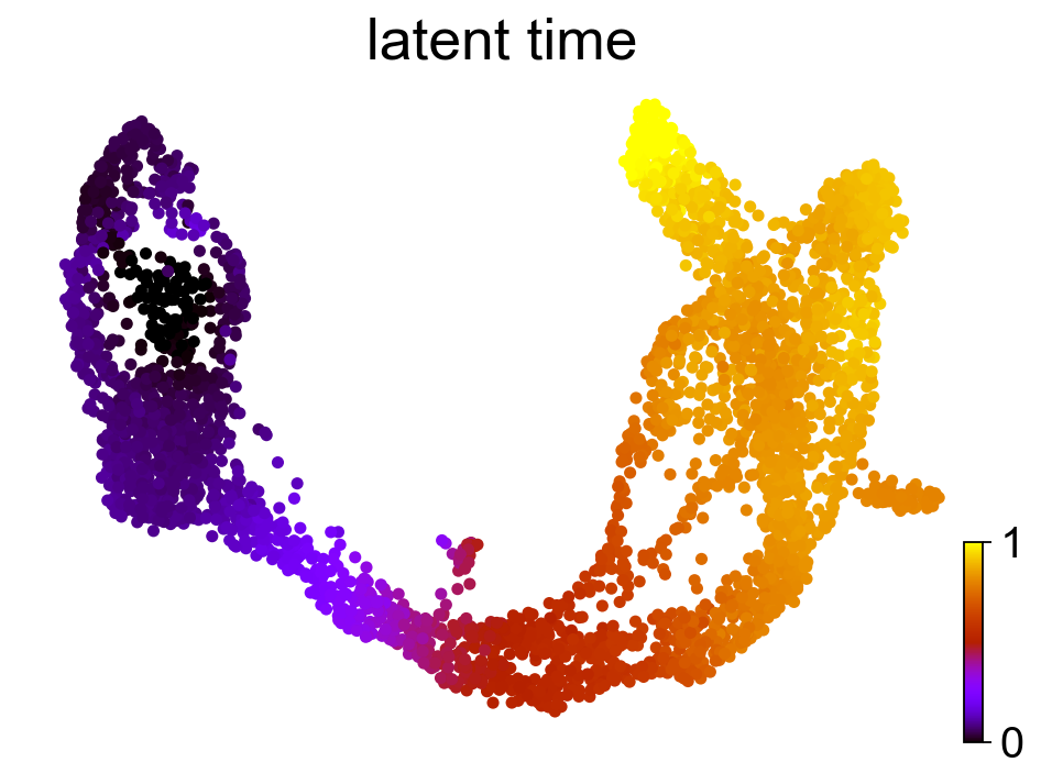 ../../_images/vignettes_Fig3_pancreas_12_1.png