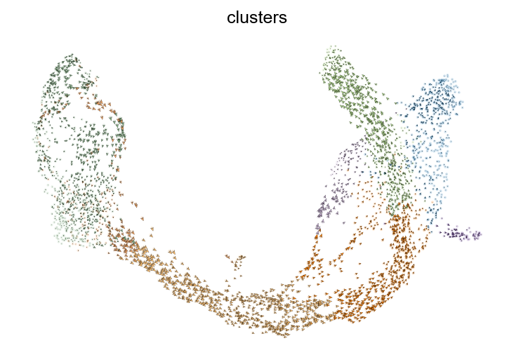 ../../_images/vignettes_Pancreas_17_0.png