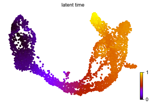 ../../_images/vignettes_Pancreas_20_1.png