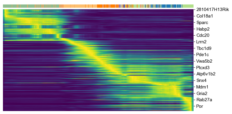 ../../_images/vignettes_Pancreas_21_0.png